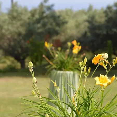 Semesterbostad Attic With A View-σοφίτα με θέα