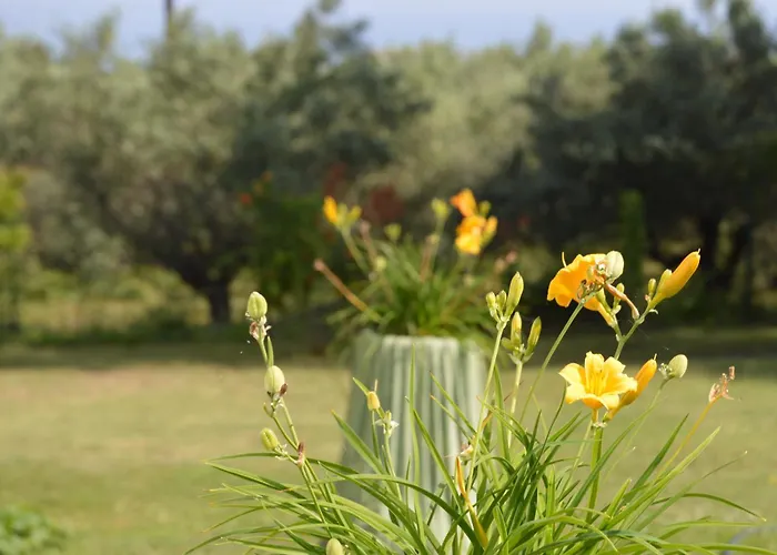 Сasa de vacaciones Attic With A View-σοφίτα με θέα