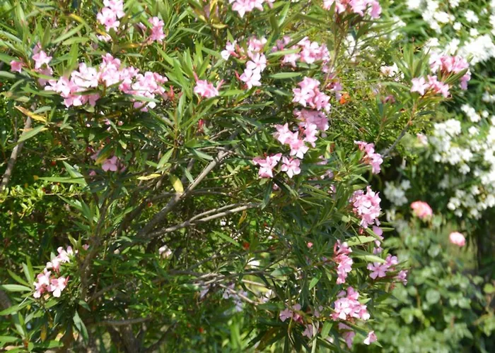 Nyaraló Attic With A View-σοφίτα με θέα Platamónasz